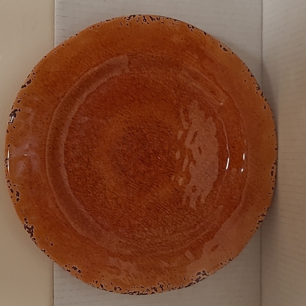 NWT Pair of Pier 1 Carmelo Melamine Plates - Picture 2 of 15